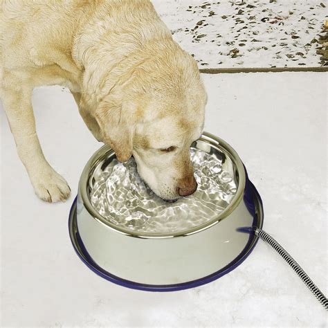 untippable dog water bowl.